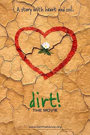 Ƽ¼Ƭ(2009)Dirt the Movie-Ѹ