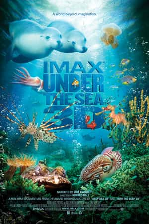 Ƽ¼Ƭ3D(2009)Under the Sea 3D-Ѹ