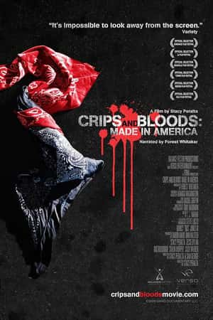 Ƽ¼Ƭ졷(2008)Crips and Bloods: Made in America-Ѹ