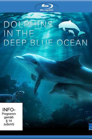 Ƽ¼Ƭɫĺࡷ(2009)Dolphins in the Deep Blue Ocean-Ѹ