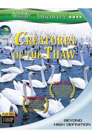 Ƽ¼Ƭ֮ⶳ(2009)  and Discovery HD Creatures of The Thaw-Ѹ