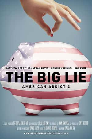 Ƽ¼Ƭԣ2(2015)American Addict 2: The Big Lie-Ѹ