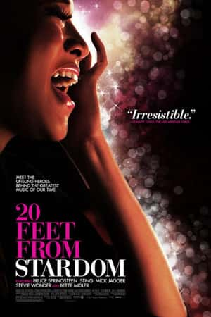 Ƽ¼ƬǶʮӢߡ(2013)Twenty Feet from Stardom-Ѹ