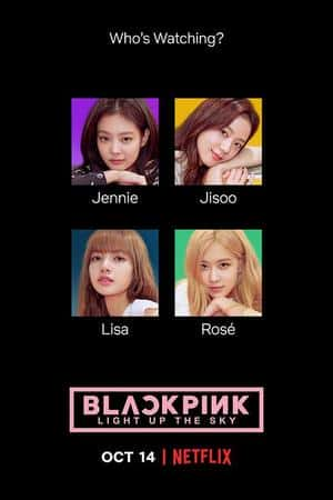 Ƽ¼ƬBLACKPINKա(2020)BLACKPINK: Light Up the Sky-Ѹ