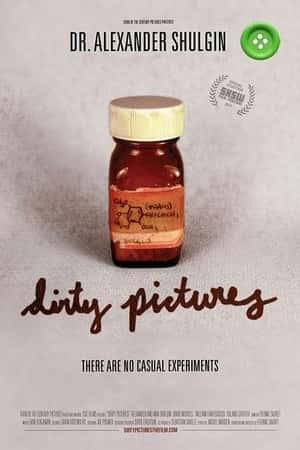 Ƽ¼ƬԻô桷(2010)Dirty Pictures-Ѹ