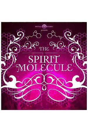 Ƽ¼Ƭ׻ɫӡ(2010)DMT: The Spirit Molecule-Ѹ