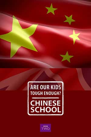 Ƽ¼Ƭǵĺ㹻ǿʽѧУ(2015)Are Our Kids Tough Enough? Chinese School-Ѹ