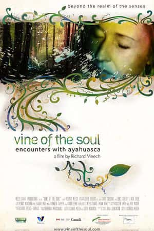 Ƽ¼ƬŻ˼֮١(2010)Ayahuasca: Vine of the Soul-Ѹ