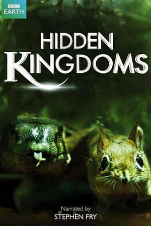 Ƽ¼Ƭ(2014)Hidden Kingdoms-Ѹ