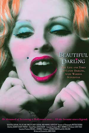 Ƽ¼ƬH۵ġ(2010)Beautiful Darling-Ѹ