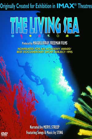 Ƽ¼Ƭ(1995)The Living Sea-Ѹ