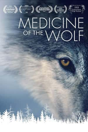 Ƽ¼Ƭҽѧ(2015)Medicine of the Wolf-Ѹ