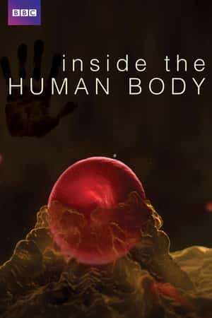 Ƽ¼Ƭء(2011)Inside the Human Body-Ѹ