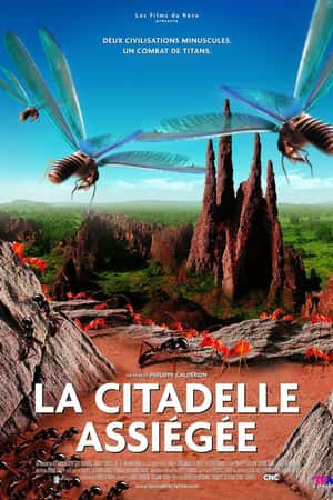 Ƽ¼ƬΧǱ(2006)La Citadelle assige-Ѹ