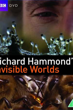 Ƽ¼Ƭ¡ɵ£硷(2010)Richard Hammond's Invisible Worlds-Ѹ