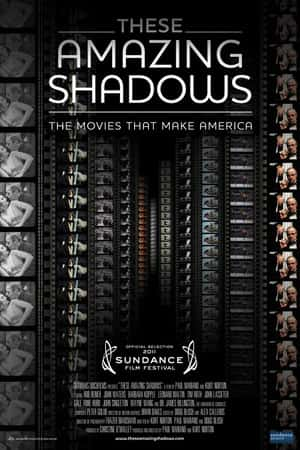 Ƽ¼ƬӰ(2011)These Amazing Shadows-Ѹ