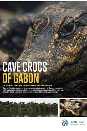 Ƽ¼ƬCave Crocs of Gabon(2018)-Ѹ