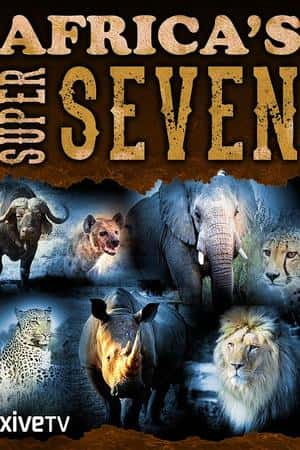 Ƽ¼Ƭޡ(2005)Africa's Super Seven-Ѹ