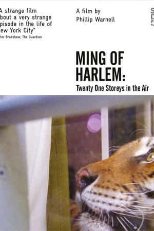 Ƽ¼ƬMing of Harlem: Twenty One Storeys in the Air(2016)-Ѹ