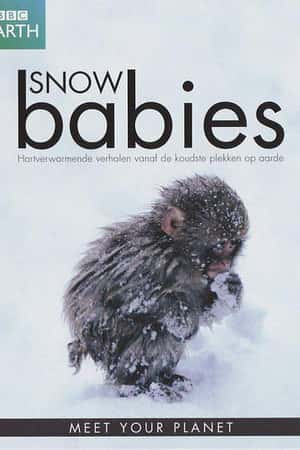 Ƽ¼Ƭ϶ﱦ(2012)Snow Babies-Ѹ