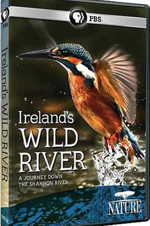 Ƽ¼ƬҰ(2014)ireland's wild river-Ѹ