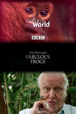 Ƽ¼ƬȻǱүү㿴ܡ(2014)Nature: Attenborough's Fabulous Frogs-Ѹ