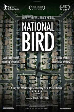 Ƽ¼Ƭ(2016)National Bird-Ѹ
