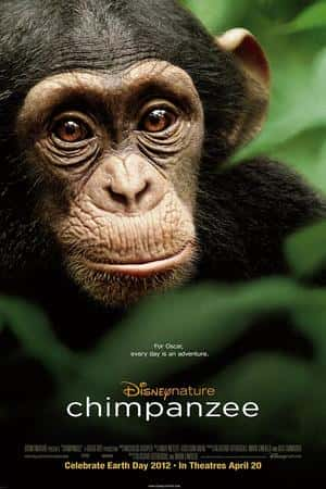 Ƽ¼Ƭɡ(2012)Chimpanzee-Ѹ