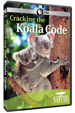 Ƽ¼Ƭܿ롷(2012)Cracking the Koala Code-Ѹ