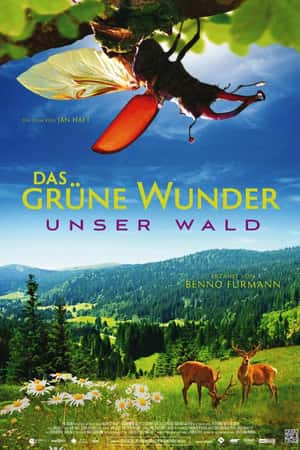 Ƽ¼ƬȻ֮衷(2012)Das grne Wunder - Unser Wald-Ѹ