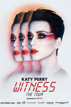 Ƽ¼Ƭ١֤(2017)Katy Perry: Will You Be My Witness?-Ѹ