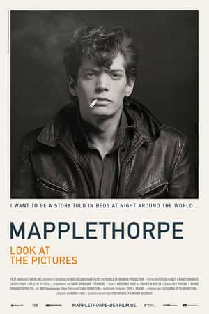 Ƽ¼Ƭ޲ء÷գЩƬ(2016)Mapplethorpe: Look at the Pictures-Ѹ