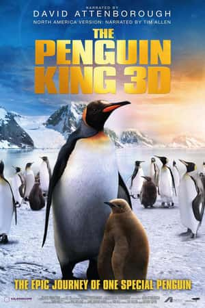 Ƽ¼Ƭա(2012)The Penguin King-Ѹ