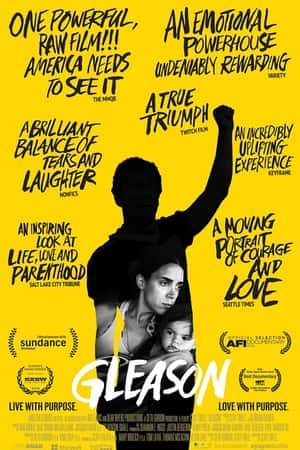 Ƽ¼Ƭ(2016)Gleason-Ѹ