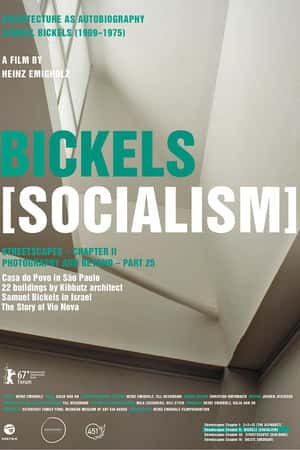 Ƽ¼Ƭз羰ƪ(2017)Bickels: Socialism-Ѹ