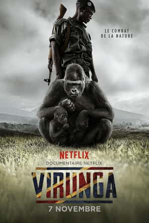 Ƽ¼Ƭάӡ(2014)Virunga-Ѹ