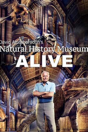 Ƽ¼Ƭ޷үүĲҹ(2013)David Attenborough's Natural History Museum Alive-¼Ƭ1080P/720P/360PBTѸ