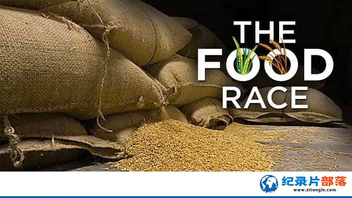 ¼Ƭʳ The Food Race-