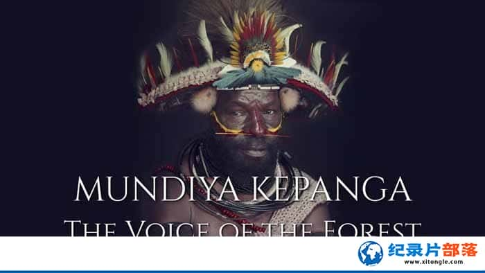 ¼ƬԲ Mundiya Kepanga, the Voice of the Forest-