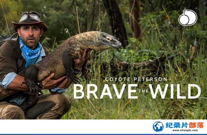 ¼ƬҰش Brave the Wild-