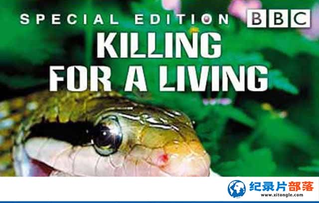 ¼ƬʳߣΪɱ¾ Predators: Killing for a Living-