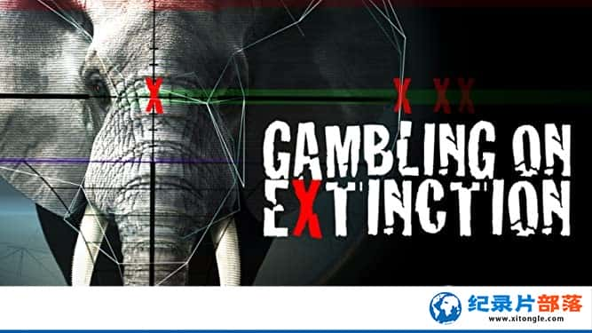 ¼Ƭ̰ɱ¾ Gambling on Extinction-