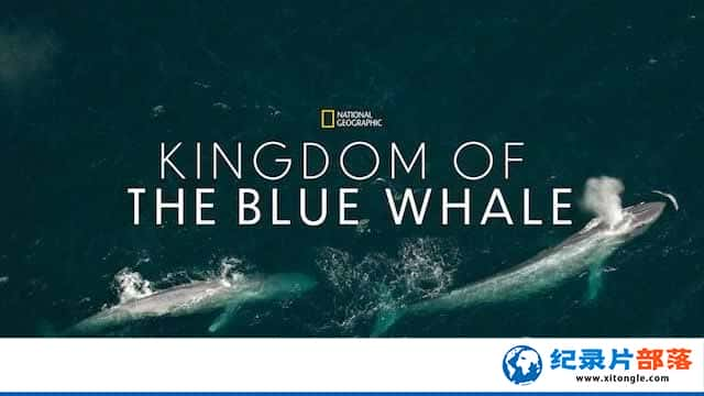 ¼Ƭ Kingdom Of The Blue Whale-