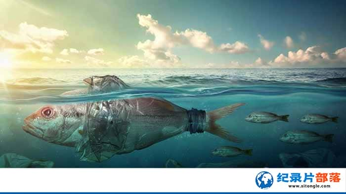 ¼Ƭ֮ Death of the Oceans-