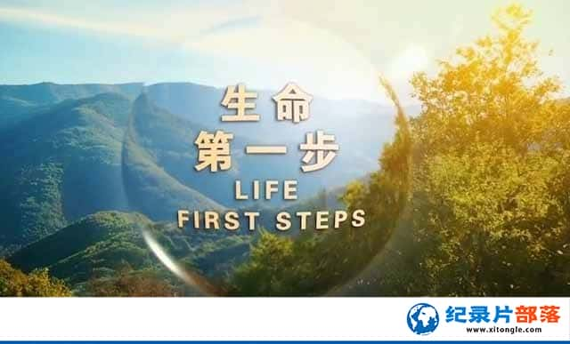 ¼Ƭһ Life First Steps-