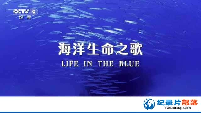 ¼Ƭ֮ Life in the Blue-