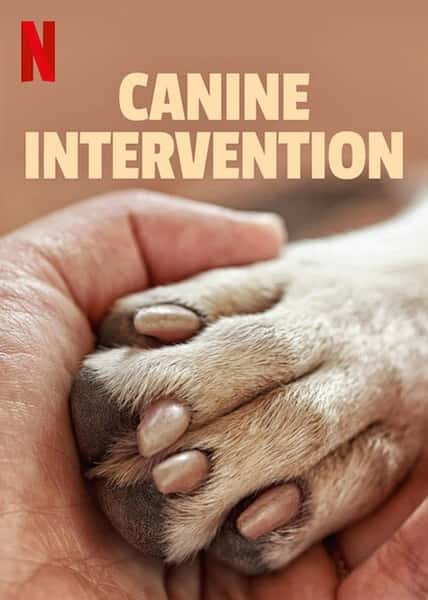 [Netflix] ѱȮʦ / Canine Intervention-Ѹ