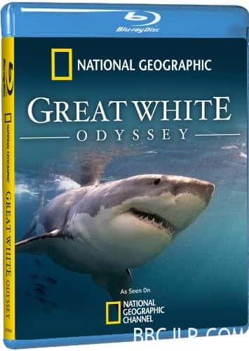 国家地理纪录片《大白鲨的长途冒险旅程 Great White Odyssey》全集[720P][有字幕][网盘]