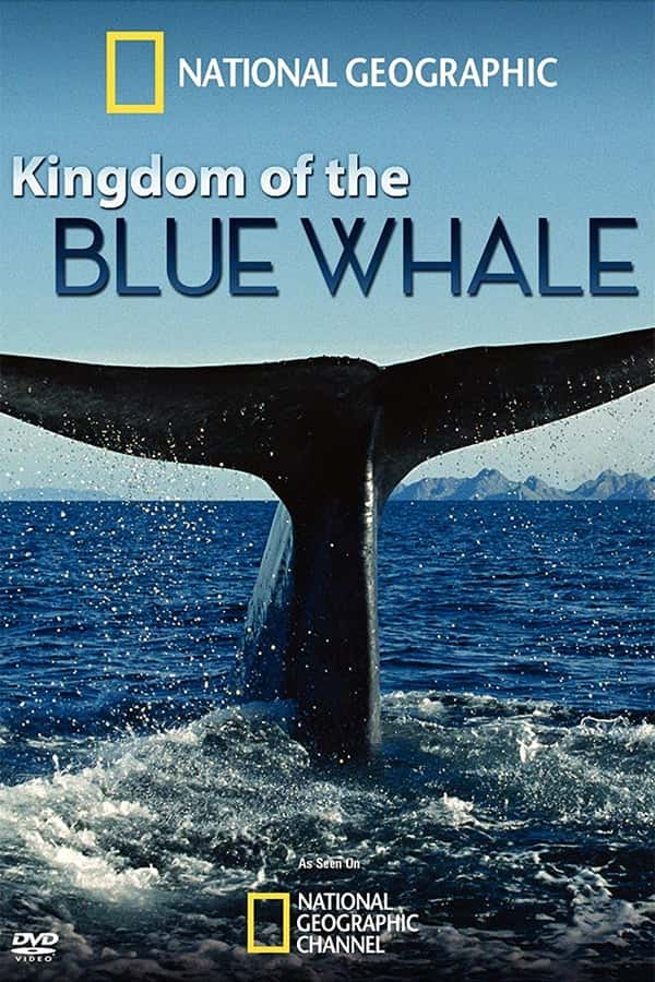 国家地理纪录片《蓝鲸王国 / Kingdom of the Blue Whale》全集-高清完整版网盘迅雷下载