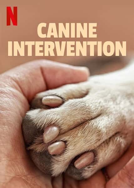Netflix纪录片《驯犬师 / Canine Intervention》全集-高清完整版网盘迅雷下载